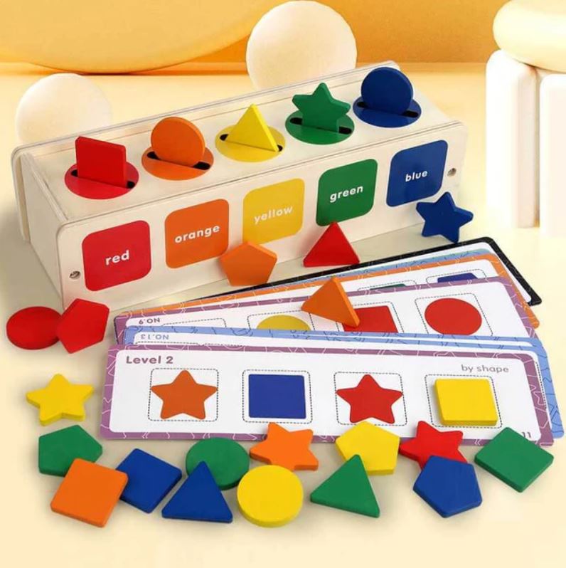 Boîte à Formes et Couleurs en Bois Montessori – Jouet Éducatif de Tri et Motricité Fine pour Enfants