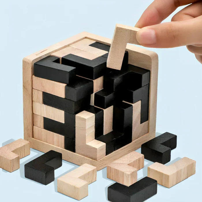 Puzzle 3D en Bois – Jeu de Réflexion et Casse-Tête pour Enfants et Adultes