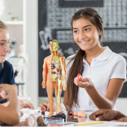 Maquette Anatomique du Corps Humain pour Enfants – Organes à Assembler, Apprentissage Montessori