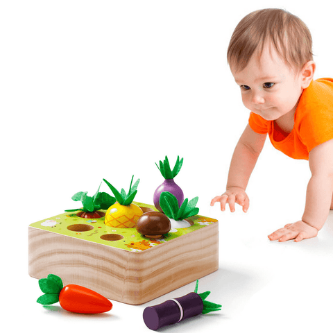 Ensemble de légumes en bois Montessori – Cuisine pour tout-petits et jouet éducatif