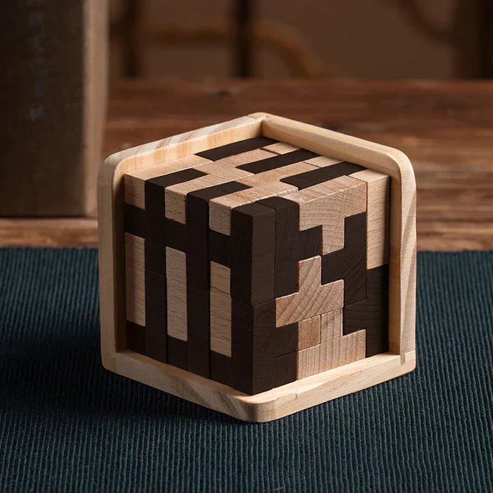 Puzzle 3D en Bois – Jeu de Réflexion et Casse-Tête pour Enfants et Adultes